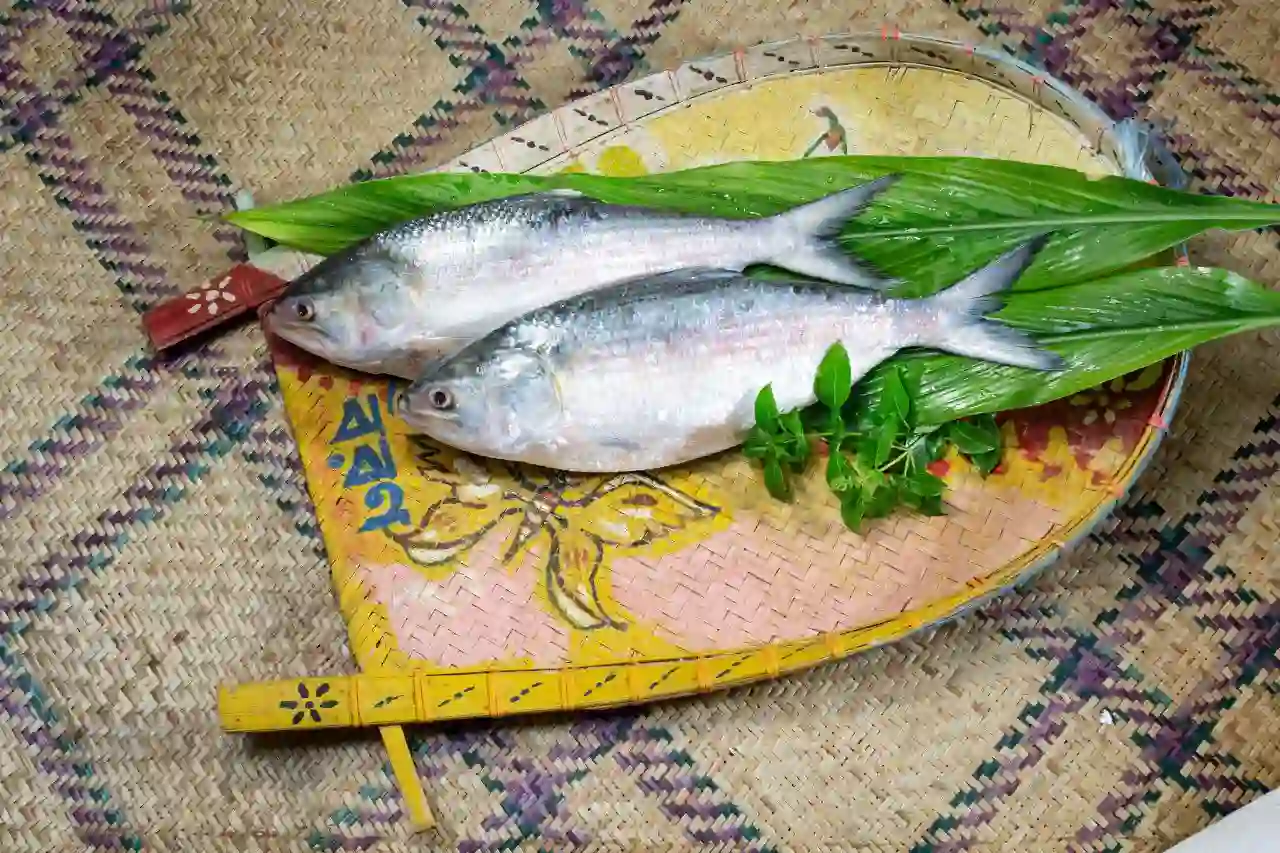 Fresh Hilsa fish featured during Sundarban Hilsa Festival tour.