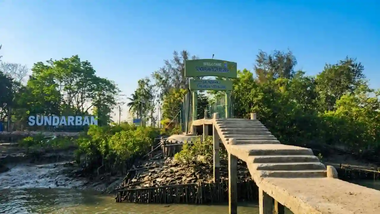 Sajnekhali Watch Tower entry gate and ferry ghat during Sundarban Tour 2 Night 3 Days wildlife safari