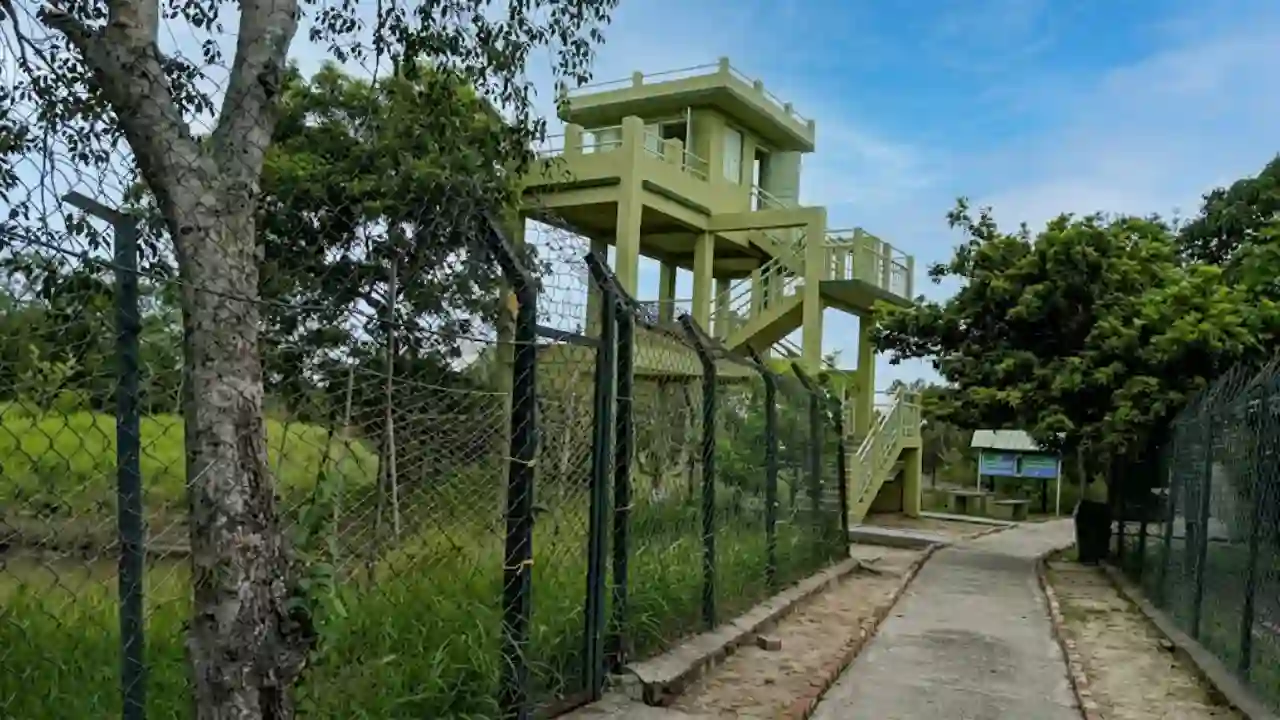 Sudhanyakhali Watch Tower wildlife observation point during Sundarban Tour 2 Night 3 Days